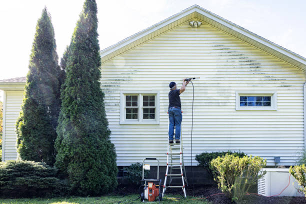 Best Sidewalk and Walkway Cleaning  in Lakefield, MN
