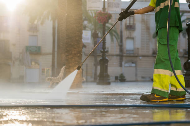 Best Roof Washing  in Lakefield, MN